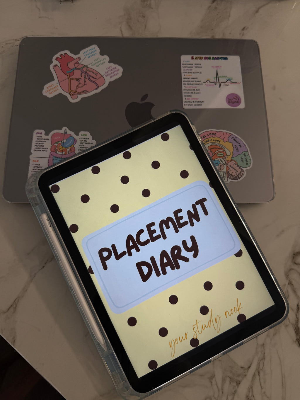 Ultimate Healthcare Student Placement Diary