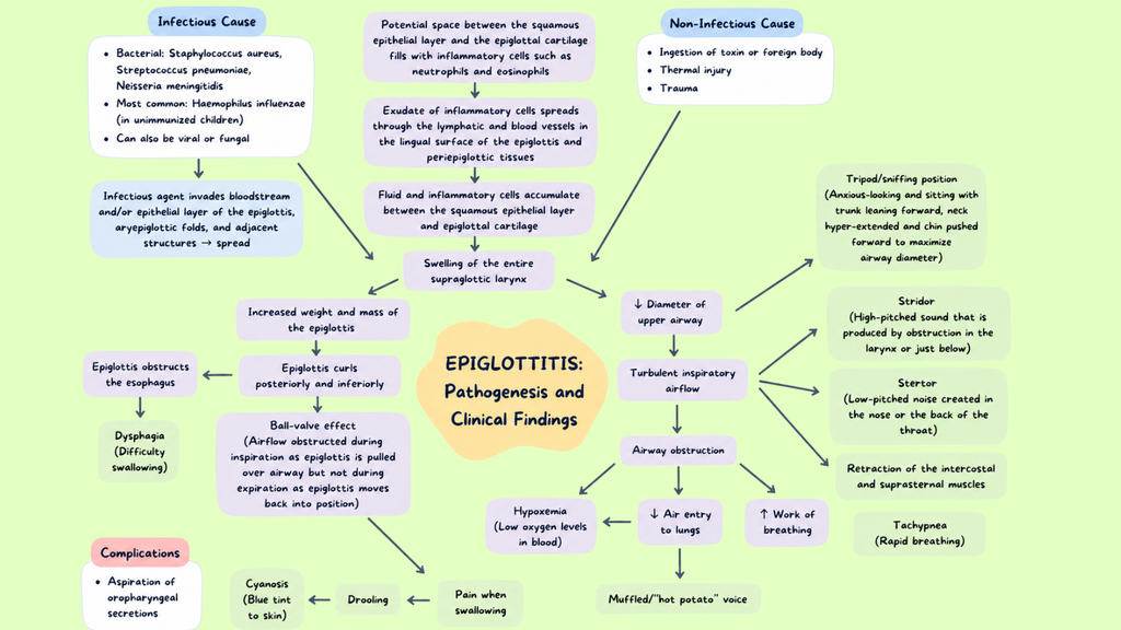Healthcare Pathophysiology Mind Maps