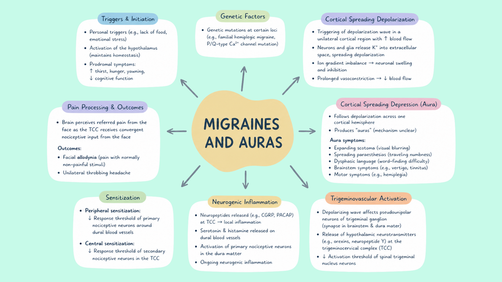 Healthcare Pathophysiology Mind Maps