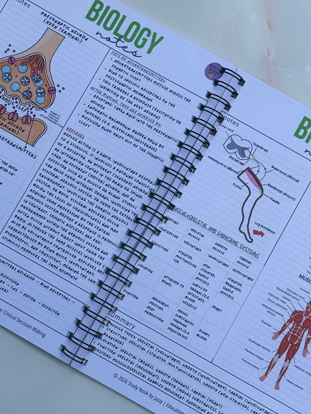 Ultimate Biology Revision Guide