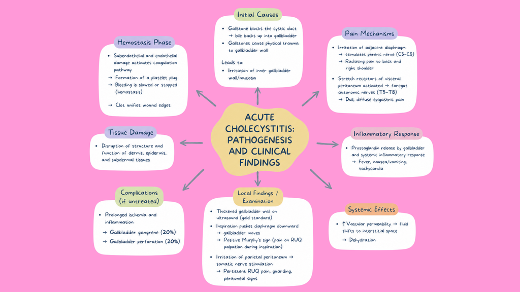 Healthcare Pathophysiology Mind Maps