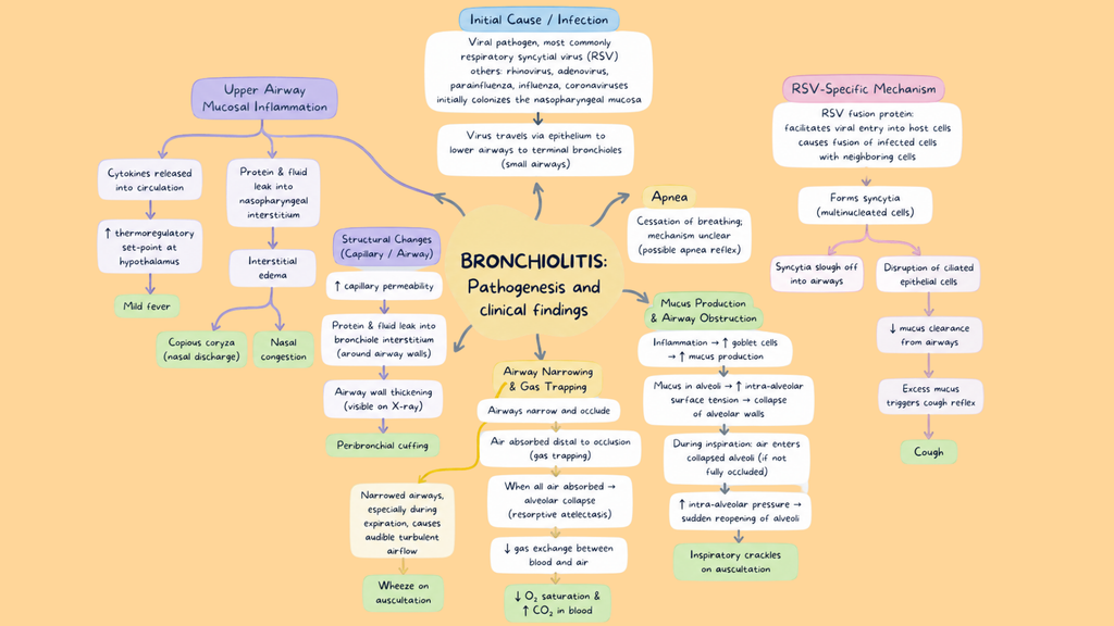 Healthcare Pathophysiology Mind Maps