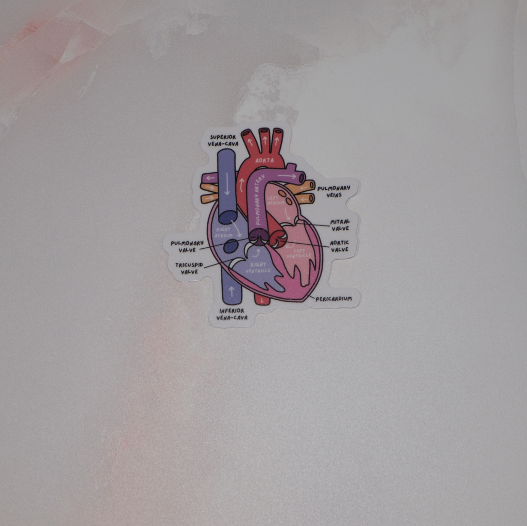 Cardiac Collection