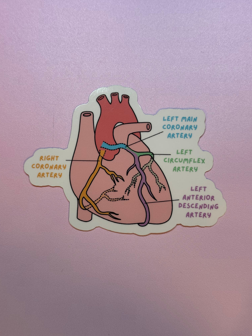 Cardiac Collection