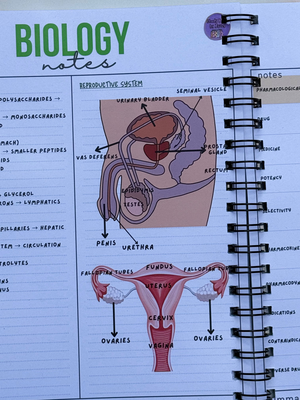 Ultimate Biology Revision Guide