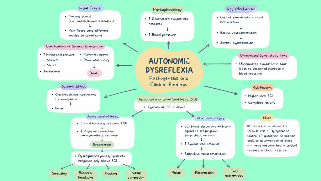 Healthcare Pathophysiology Mind Maps