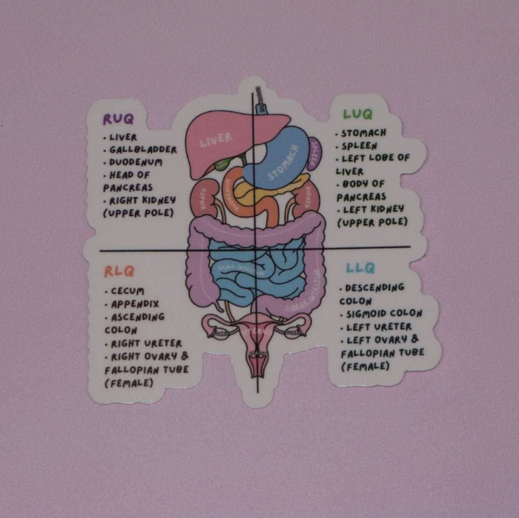 Anatomy Collection