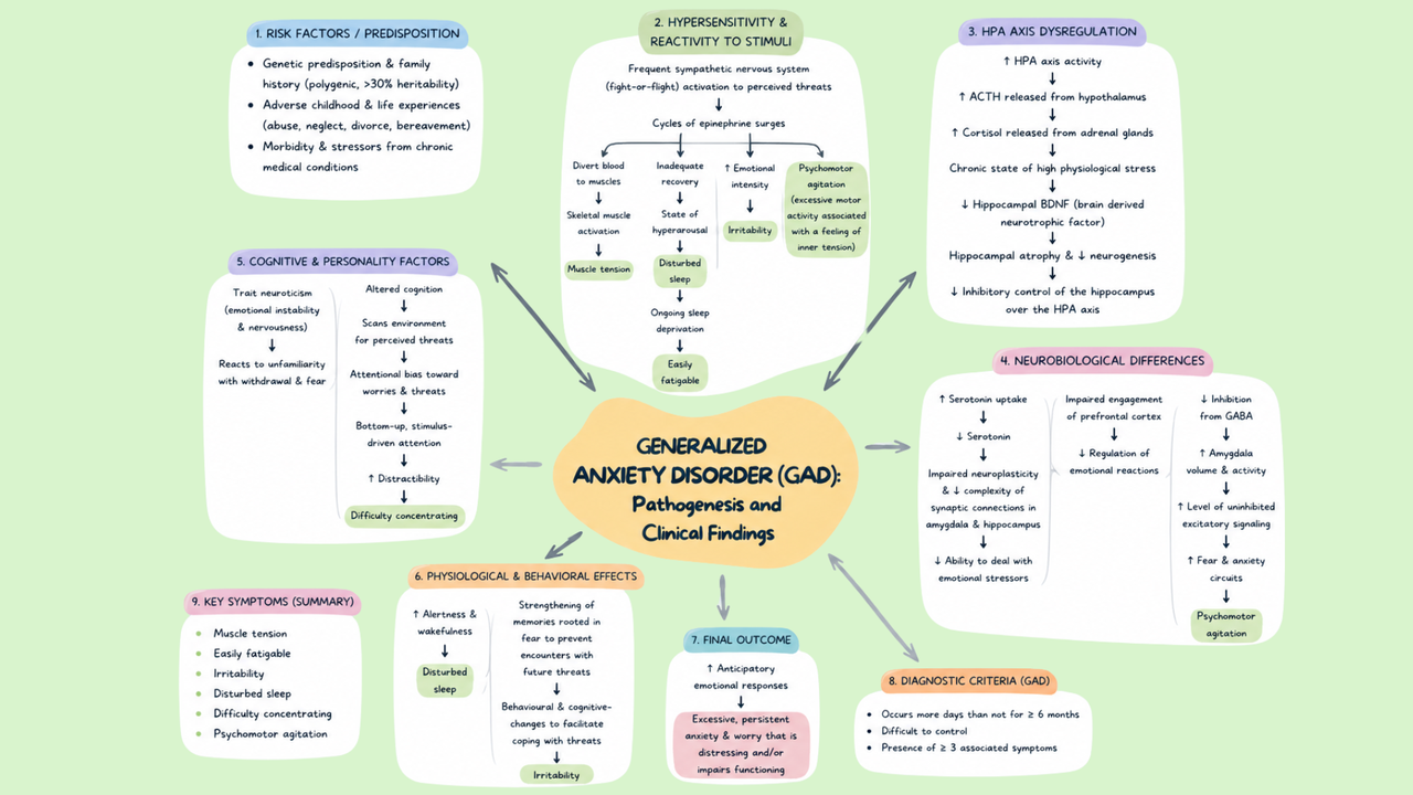 Mental Health Pathophysiology Mind Maps