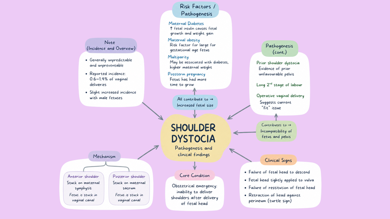 OBGYN Pathophysiology Mind Maps