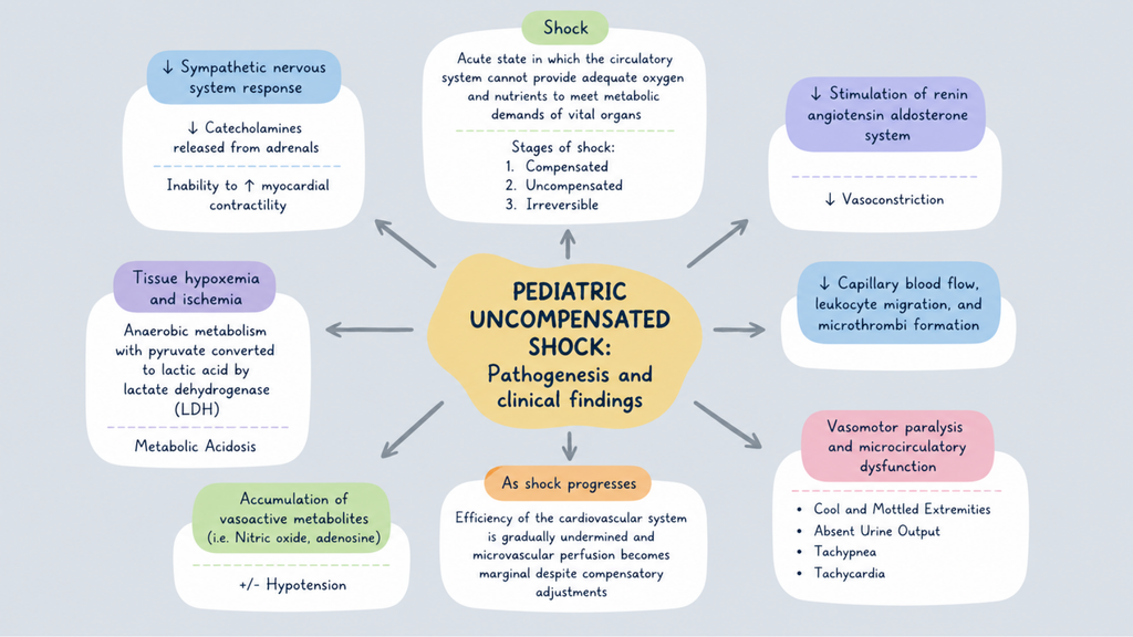 Healthcare Pathophysiology Mind Maps