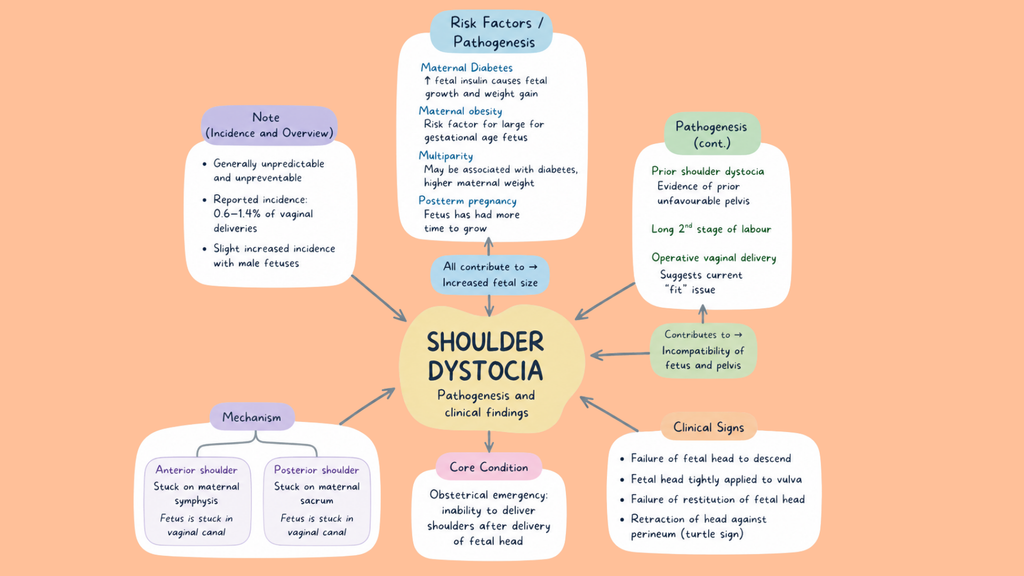 Healthcare Pathophysiology Mind Maps