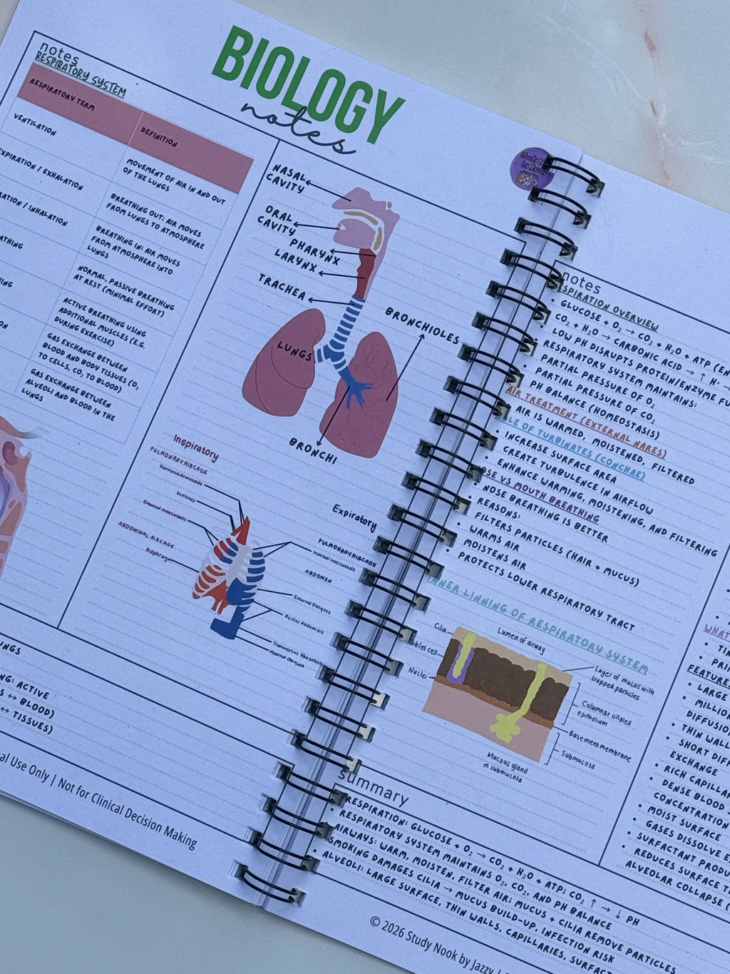 Ultimate Biology Revision Guide