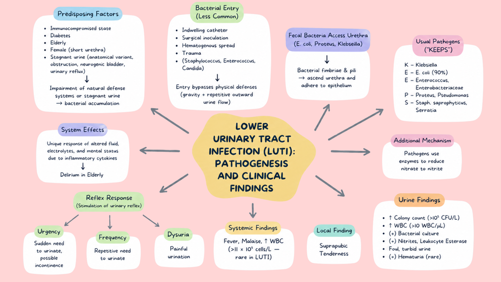 Medical Pathophysiology Mind Maps