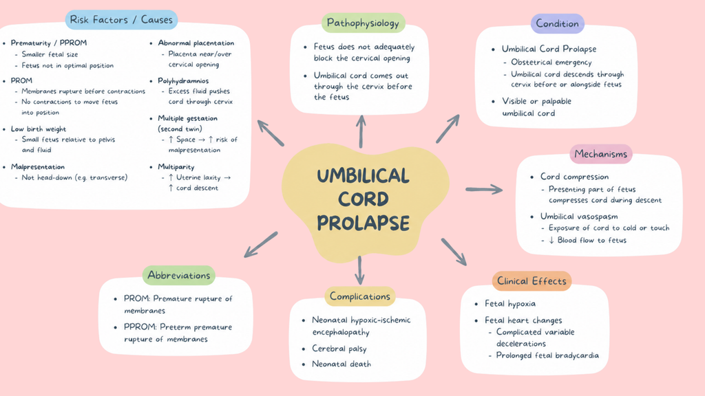 Healthcare Pathophysiology Mind Maps