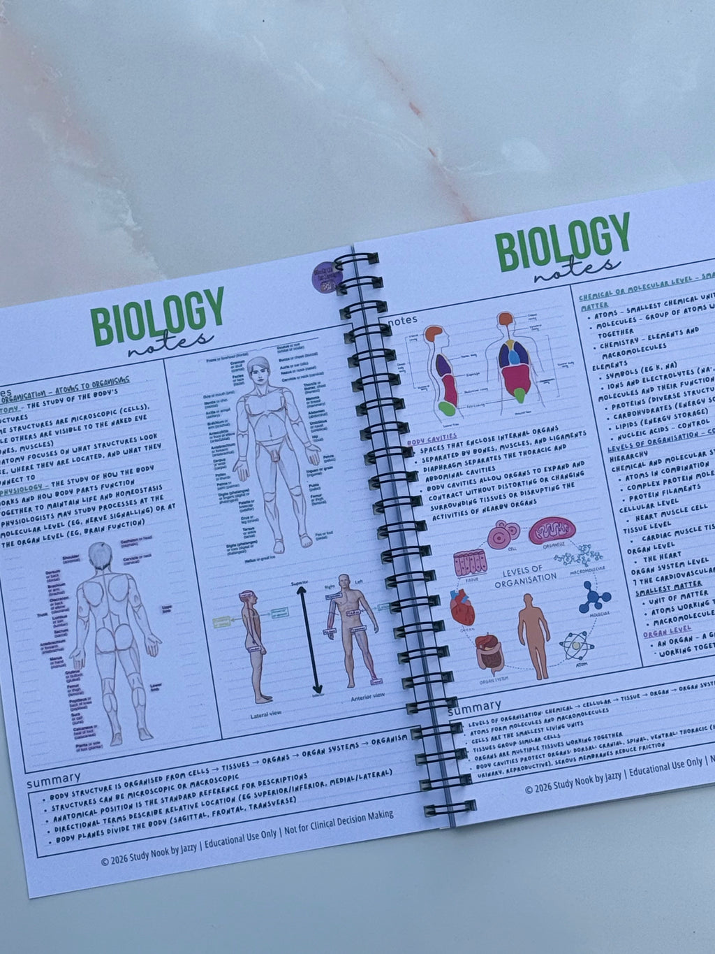 Ultimate Biology Revision Guide