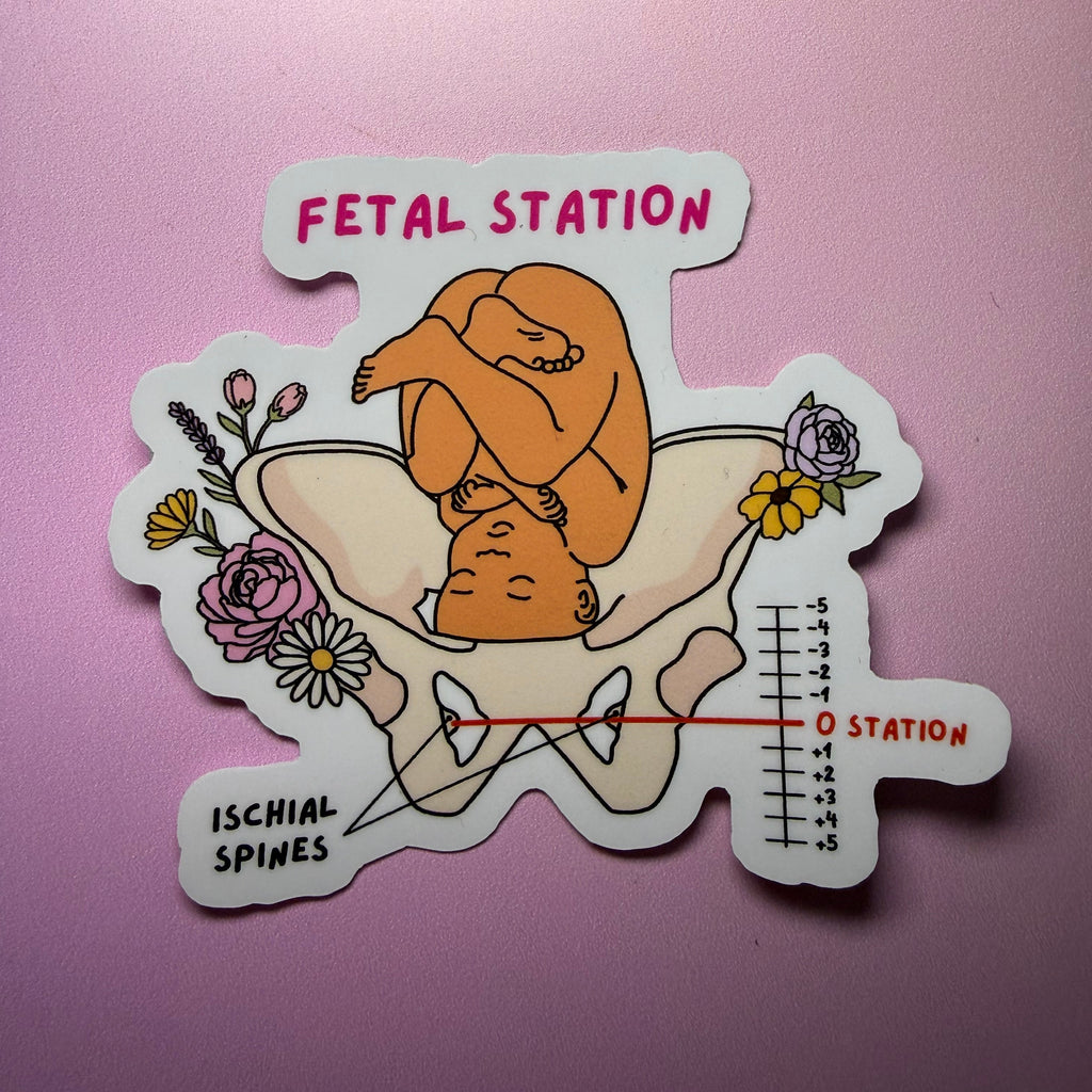 Deluxe Birth & Bloom Collection🌷