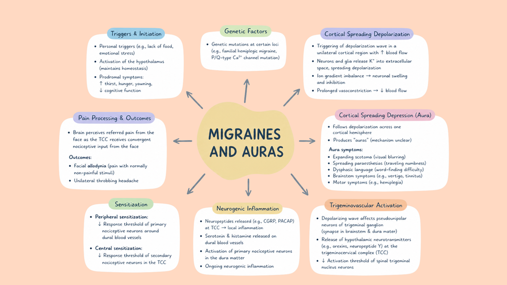 Medical Pathophysiology Mind Maps