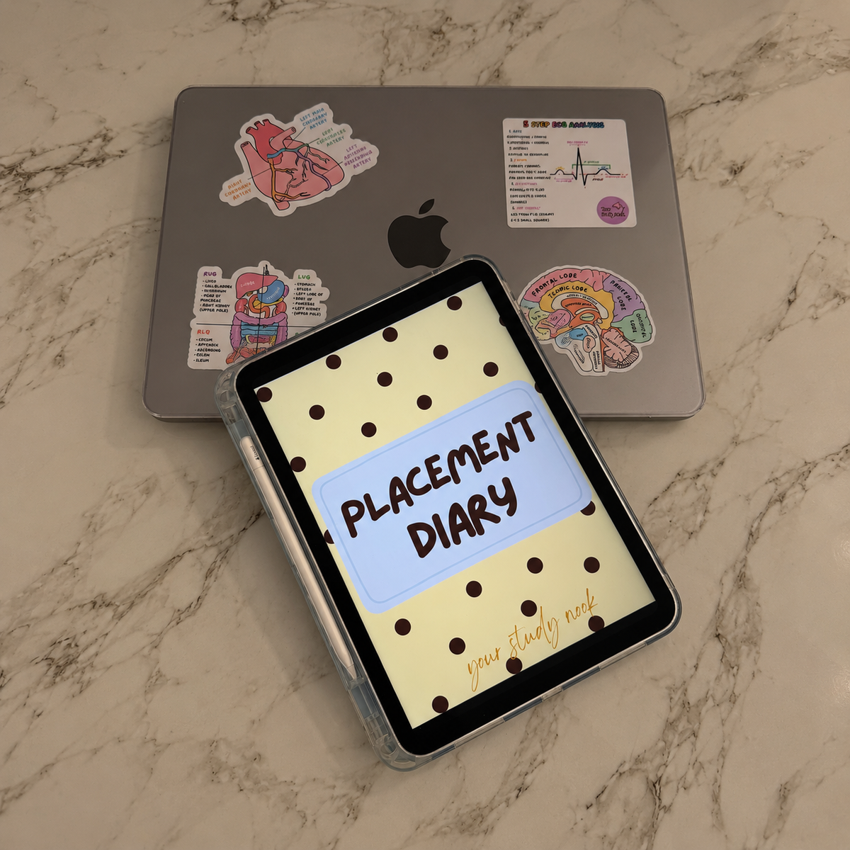Essential Healthcare Placement Diary
