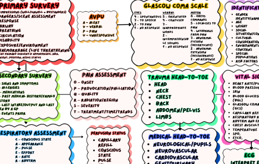 OSCE Systematic Assessment Prep Poster – Paramedicine